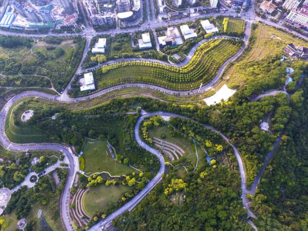 廣西尚水園林景觀工程有限公司——體育休閑公園海綿化改造工程